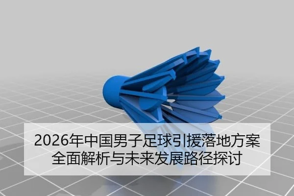 2026年中国男子足球引援落地方案全面解析与未来发展路径探讨